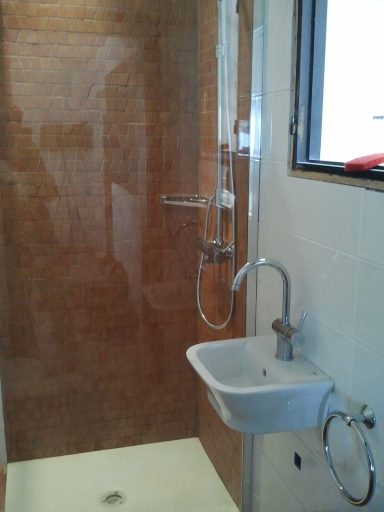 Small shower room .